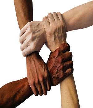 Team Image